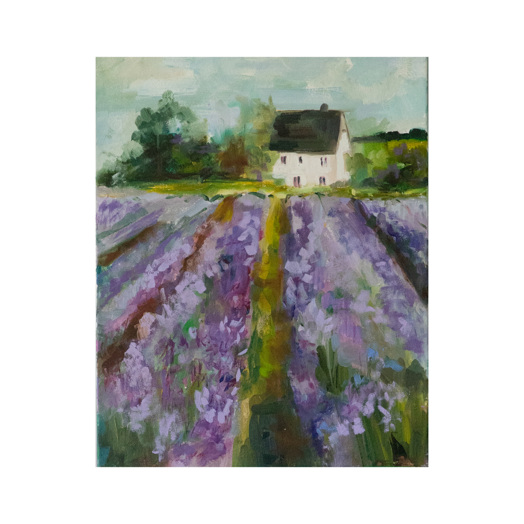 Lavender Fields